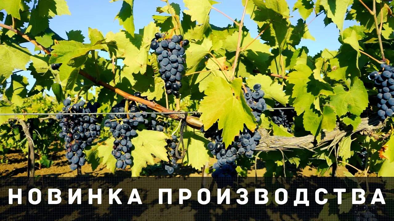 СКОБА ИНДИВИДУАЛЬНОЙ ОПОРЫ