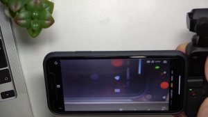 Подключение камеры DJI Pocket к телефону / Как подключить камеру DJI Pocket к телефону
