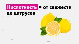 Танины, кислотность и прочие винные термины