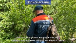 Итоги недели ГУ МЧС России по Новгородской области