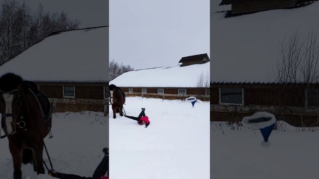 Как сделать фотосессию с лошадью безопасной для вашей тушки и макияжа?