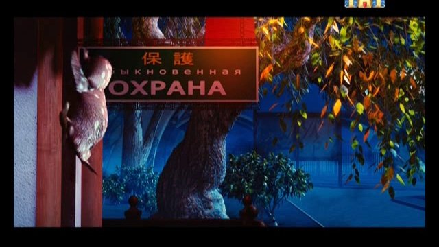 Попугай_Club