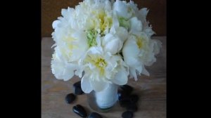 White Lisianthus | Picture Collection Of Flowers