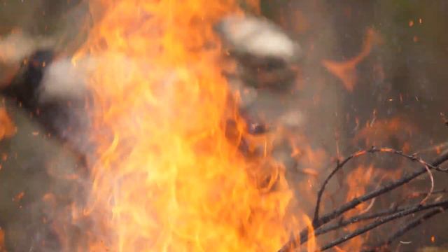 Тушение лесного пожара, заповедник "Малая Сосьва", Вахитов Л. А., 2022 смотреть онлайн