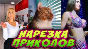 🛑 НАРЕЗКА ЛУЧШИХ СМЕШНЫХ ПРИКОЛОВ | #3 | забавный юмор, смешные животные