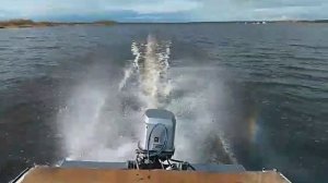 YANMAR D36 на подводных крыльях