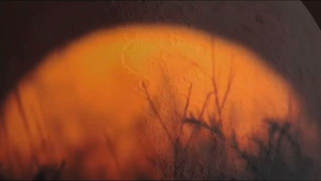 TERRARIA: DRYADS INHERITANCE || Lore Store Supercut смотреть онлайн