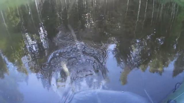 Щука на спиннинг. Рыбалка на небольшой речке смотреть онлайн