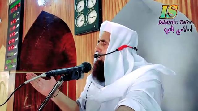 poshto new bayan Sheikh jahanzeb haqqani смотреть онлайн