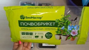 Посев Рудбекии.Яркое пятно вашего сада.м-н ДАЧА г.Каменск-Уральский 31.03.2024 г.