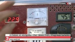 Изобретатель из Молдовы придумал как спасти пчёл от клеща