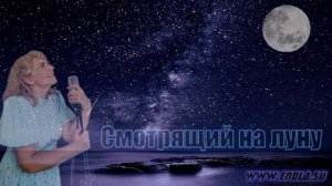 Смотрящий на луну - Юлия Свиридова