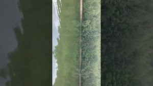 Балтмоторс 35 л/с