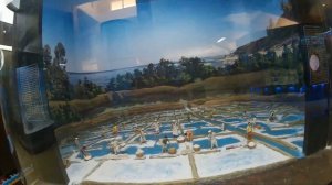 Индия, Гоа. Часть 5 - пляж Мирамар и Научный музей (Miramar Beach, Goa Science Centre) VLOG Goa