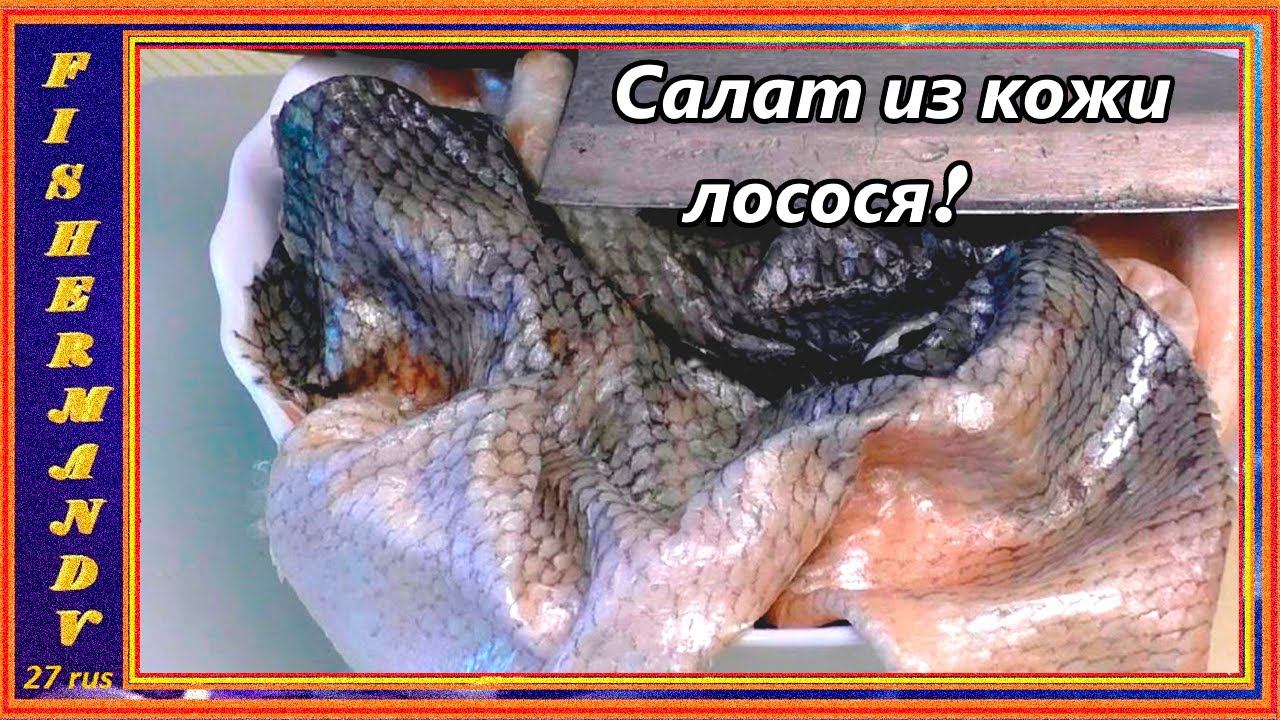 САЛАТ ИЗ КОЖИ ЛОСОСЯ, рецепты из рыбы от fisherman dv  27 rus
