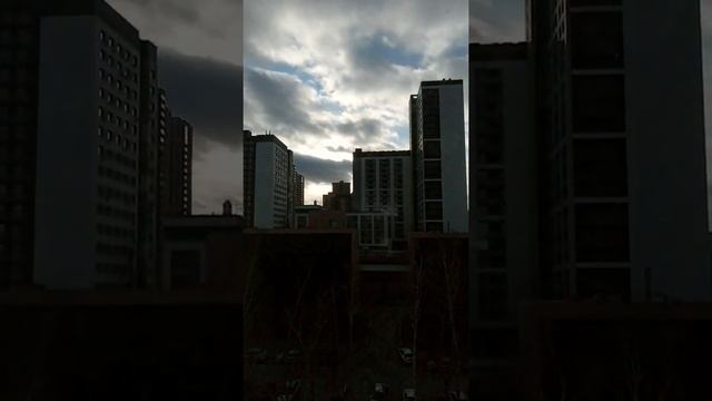 TimeLapse: Вертикальный таймлапс / Vertical time-lapse (09.11.2020)