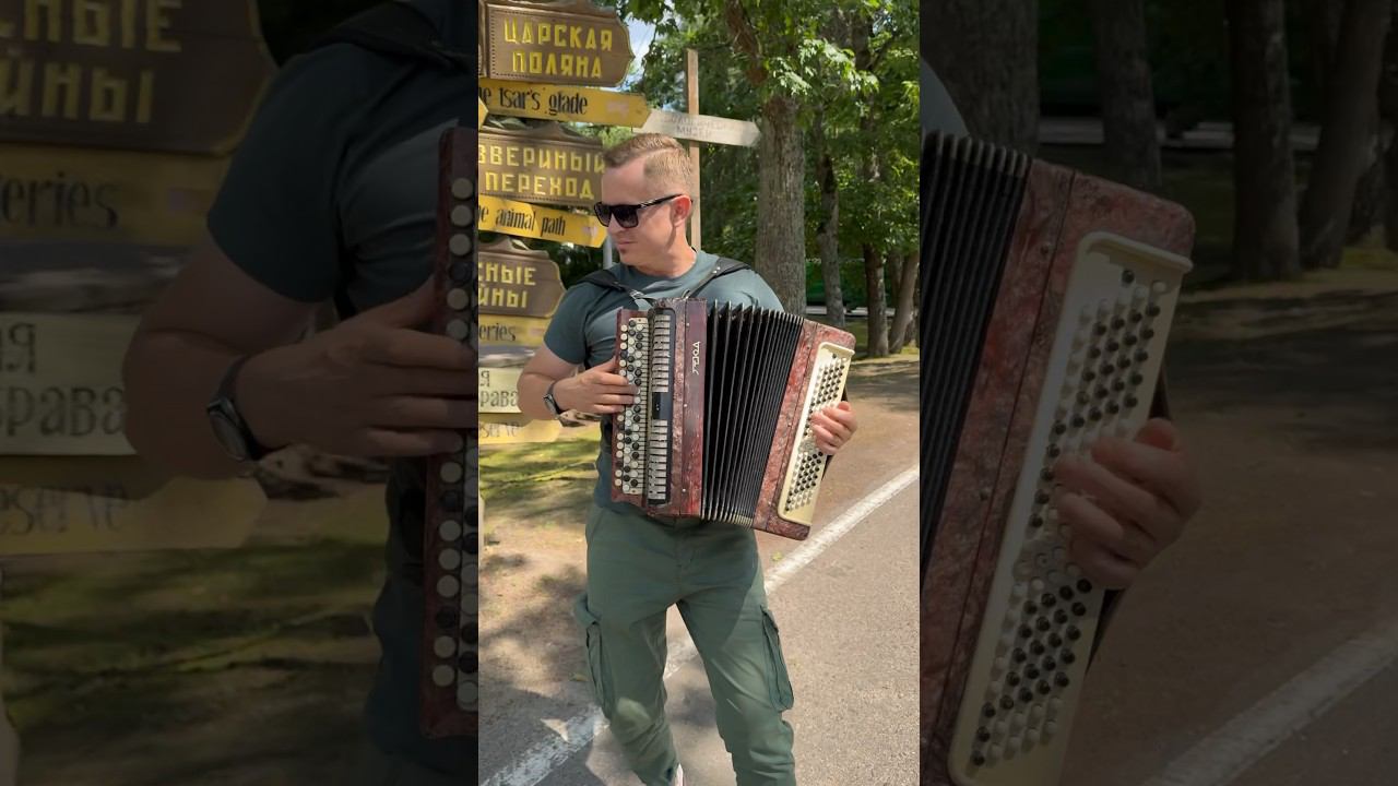 Играю на баяне в Беловежской пуще ☀️☀️☀️ #баянист #гармонист #песня #каверхит смотреть онлайн
