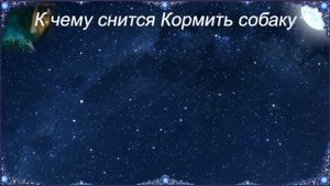 К чему снится Кормить собаку (Сонник)