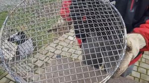 Как сделать корзину своими руками.??Корзина для сена.