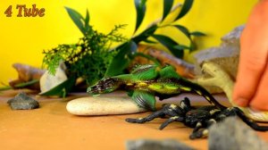 Динозавры, Паук, Змея и Дракон. Наглец и наказание. Смешно и весело играем. Игрушки для детей.4 Tub