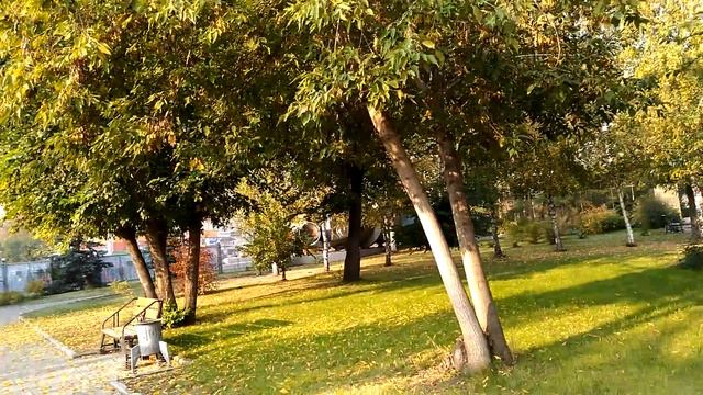 Работаем над красотой и безупречностью тела, ума и речи