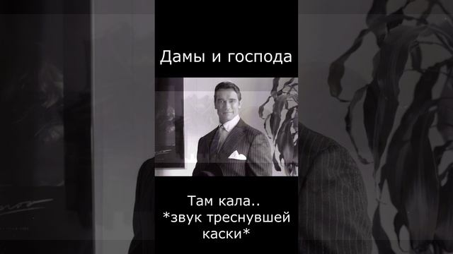 Дамы и господа