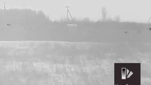 Тепловизионный монокль Arcon Ovis LM25, наблюдение за зайцем.