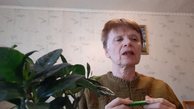 Какие финансовые риски могут случиться в этом 2023?