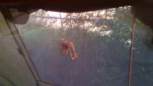 КЕМПИНГ В ПОДМОСКОВЬЕ. Всё ЗАНЯТО? Зря ехали? Как найти ИДЕАЛЬНОЕ МЕСТО? Встреча с БРАТОМ.