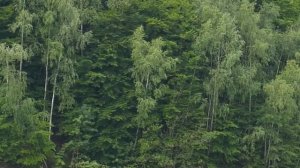 Красивые звуки.Природа Расслабляющая музыка Расслабление Стресс-Фортепиано (рела