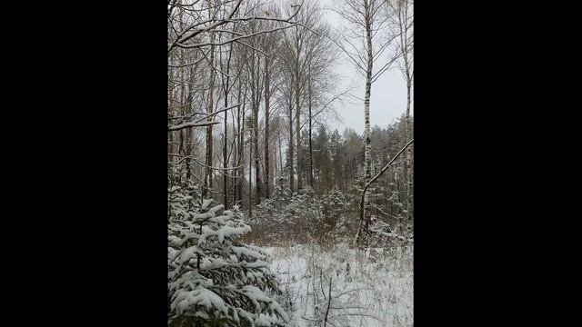 Охота на медведя смотреть онлайн