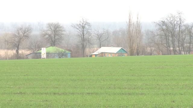 Лучшая технология защиты сахарной свеклы Байер 2013 смотреть онлайн