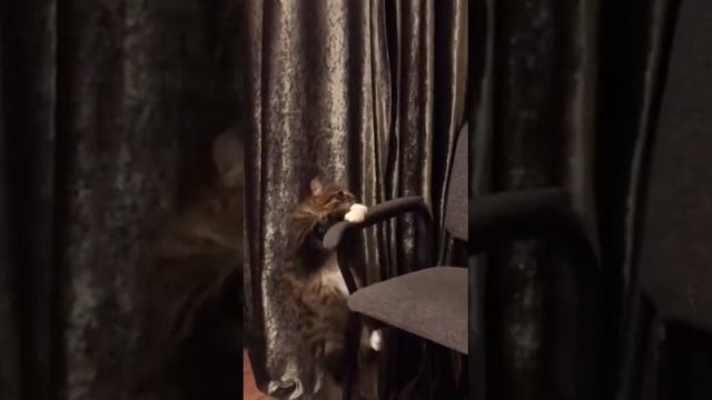 1000002188.mp4 смотреть онлайн