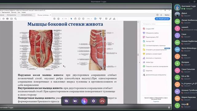 [6] лекция по анатомии 5.12 (мышцы туловища)