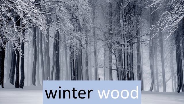 Изучаем слово wood, лес, словосочетания и предложение с ним смотреть онлайн