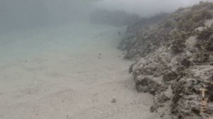 Снорклинг в Шри Ланке? Пляж Коггала. Рыбки кораллового рифа