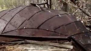 Забытый край