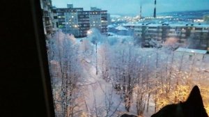 Охота на птицу