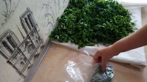 СУПЕР ПЕТРУШКА НА ЗИМУ ! МОЙ ЛУЧШИЙ ПРОВЕРЕННЫЙ СПОСОБ ЗАМОРОЗКИ !