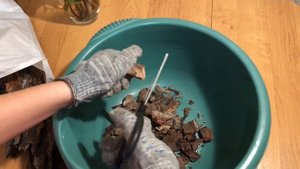 Собираем КОРУ ДЛЯ ОРХИДЕЙ сами. Легко и просто