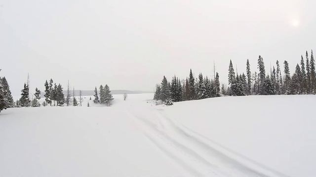 Покатушки на снегоходе polaris widetrak lx #widetrak #polaris смотреть онлайн