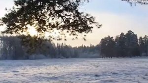 Костромская область  Шарья  Назад в СССР 1