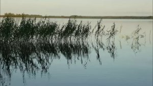 Андозеро Солнце Русского Севера 2