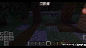 обзор станции Новолесовка и обзор на поезд во80