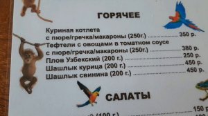 МЕНЮ В ЗООПАРКЕ