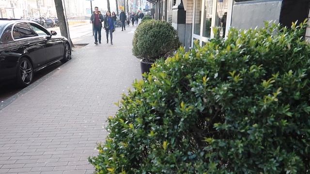 Амстердам прогулка по городу