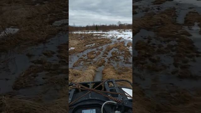 Стелс 600 леопард. смотреть онлайн