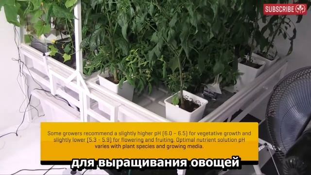 Как часто надо менять раствор в гидропонике. смотреть онлайн