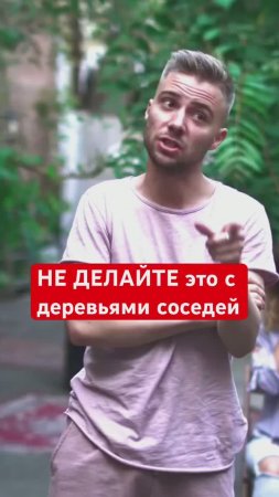 Что делать, если НАДОЕЛИ СОСЕДСКИЕ ДЕРЕВЬЯ