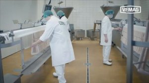 Прибыльный бизнес Производство мясных полуфабрикатов Оборудование Vemag